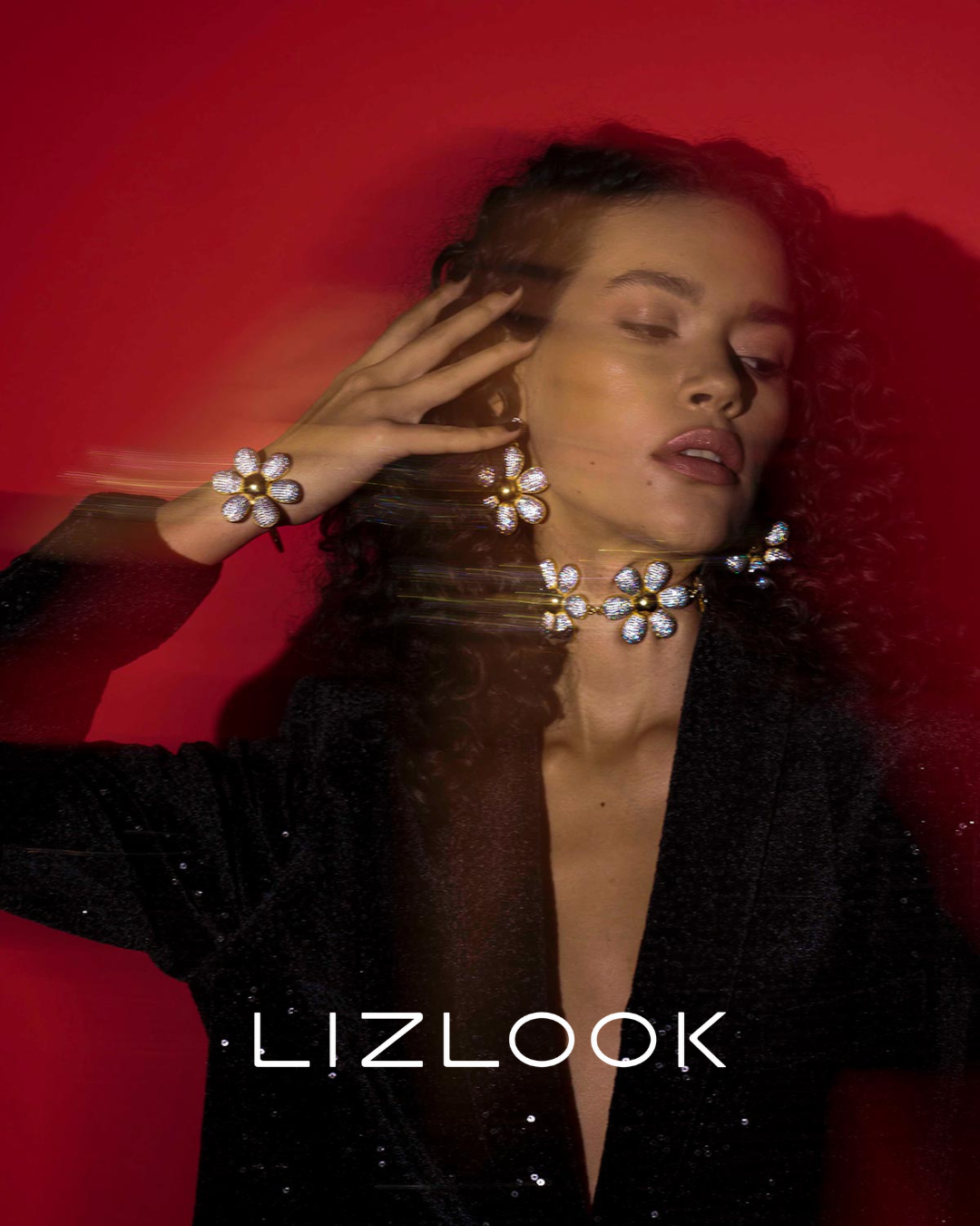 Lizlook social media